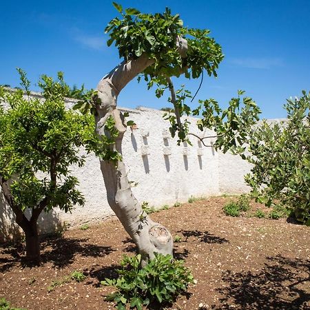 Suite San Giorgio Torre A Mare Kültér fotó